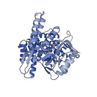 8750_5w0s_F_v1-4
GroEL using cryoEM