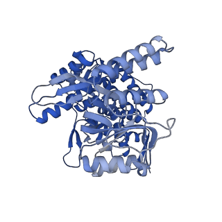 8750_5w0s_G_v1-4
GroEL using cryoEM