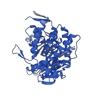 8750_5w0s_I_v1-4
GroEL using cryoEM