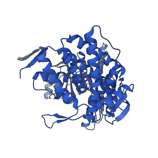 8750_5w0s_J_v1-4
GroEL using cryoEM