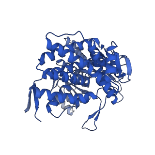 8750_5w0s_K_v1-4
GroEL using cryoEM