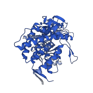 8750_5w0s_L_v1-4
GroEL using cryoEM