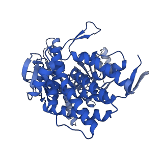 8750_5w0s_N_v1-4
GroEL using cryoEM