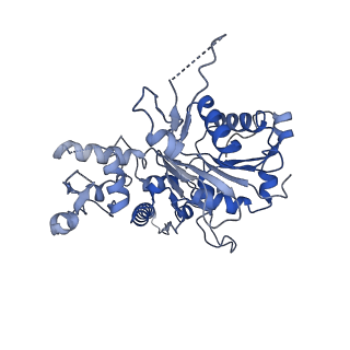 21502_6w17_A_v1-2
Structure of Dip1-activated Arp2/3 complex with nucleated actin filament
