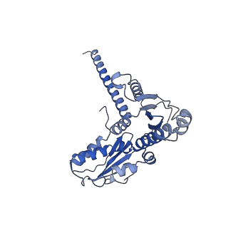 21502_6w17_D_v1-2
Structure of Dip1-activated Arp2/3 complex with nucleated actin filament