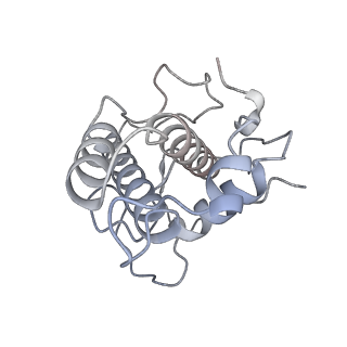 21502_6w17_E_v1-2
Structure of Dip1-activated Arp2/3 complex with nucleated actin filament