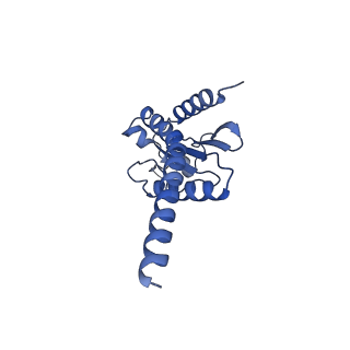 21502_6w17_F_v1-2
Structure of Dip1-activated Arp2/3 complex with nucleated actin filament