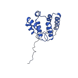21502_6w17_G_v1-2
Structure of Dip1-activated Arp2/3 complex with nucleated actin filament