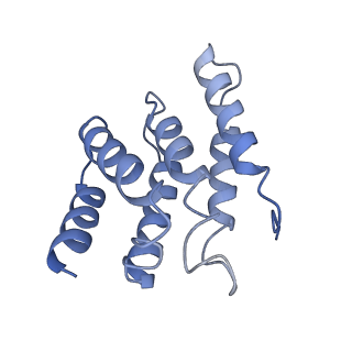 21502_6w17_H_v1-2
Structure of Dip1-activated Arp2/3 complex with nucleated actin filament