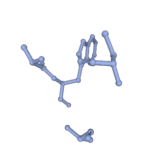 21502_6w17_M_v1-2
Structure of Dip1-activated Arp2/3 complex with nucleated actin filament