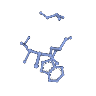 21502_6w17_N_v1-2
Structure of Dip1-activated Arp2/3 complex with nucleated actin filament