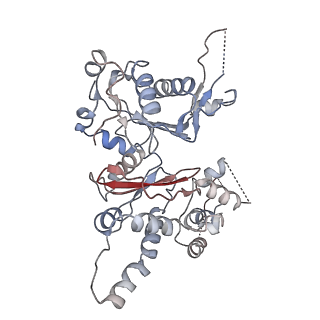 21503_6w18_A_v1-2
Structure of S. pombe Arp2/3 complex in inactive state