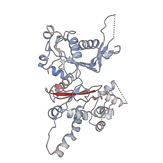 21503_6w18_A_v1-3
Structure of S. pombe Arp2/3 complex in inactive state