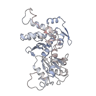 21503_6w18_B_v1-2
Structure of S. pombe Arp2/3 complex in inactive state