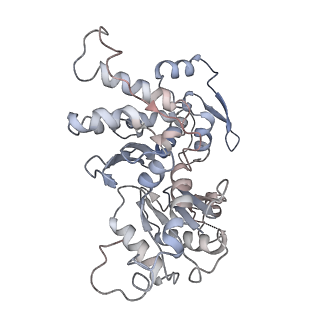 21503_6w18_B_v1-3
Structure of S. pombe Arp2/3 complex in inactive state