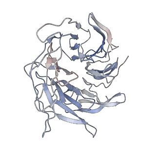 21503_6w18_C_v1-2
Structure of S. pombe Arp2/3 complex in inactive state