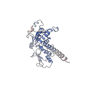 21503_6w18_D_v1-2
Structure of S. pombe Arp2/3 complex in inactive state