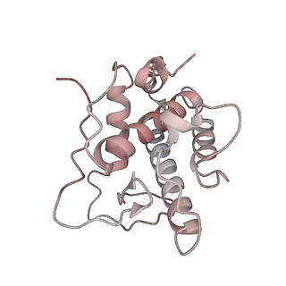 21503_6w18_E_v1-2
Structure of S. pombe Arp2/3 complex in inactive state