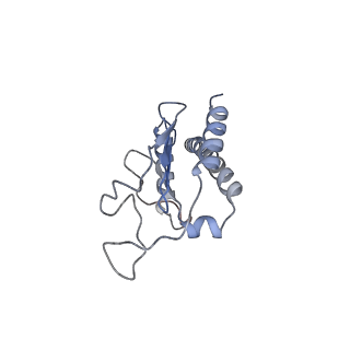 21503_6w18_F_v1-2
Structure of S. pombe Arp2/3 complex in inactive state