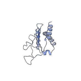 21503_6w18_F_v1-3
Structure of S. pombe Arp2/3 complex in inactive state