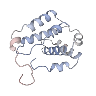 21503_6w18_G_v1-2
Structure of S. pombe Arp2/3 complex in inactive state