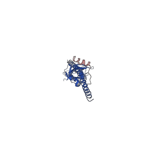 21511_6w1j_D_v1-0
Cryo-EM structure of 5HT3A receptor in presence of Alosetron