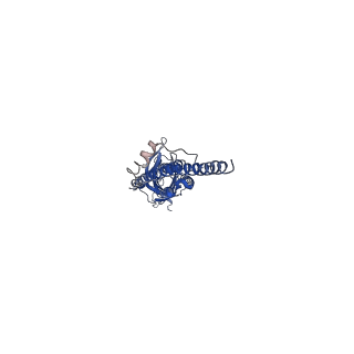 21511_6w1j_E_v1-0
Cryo-EM structure of 5HT3A receptor in presence of Alosetron