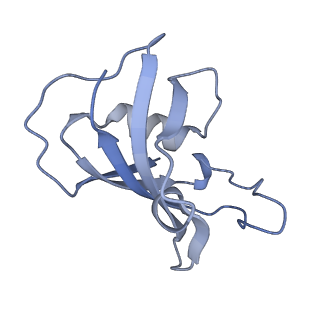 21513_6w1n_A_v1-2
Pig Ryanodine Receptor (WT) in 5mM EGTA condition