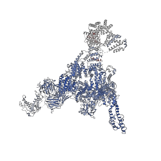 21513_6w1n_B_v1-2
Pig Ryanodine Receptor (WT) in 5mM EGTA condition