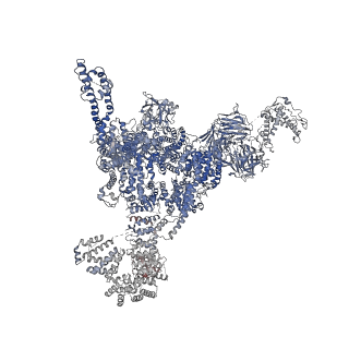 21513_6w1n_F_v1-2
Pig Ryanodine Receptor (WT) in 5mM EGTA condition