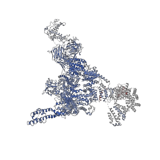 21513_6w1n_H_v1-2
Pig Ryanodine Receptor (WT) in 5mM EGTA condition