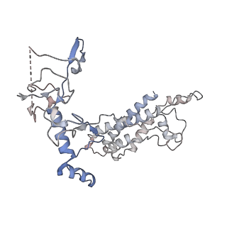 21516_6w1x_A_v1-2
Cryo-EM structure of anti-CRISPR AcrIF9, bound to the type I-F crRNA-guided CRISPR surveillance complex