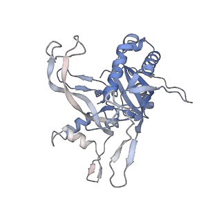 21516_6w1x_B_v1-1
Cryo-EM structure of anti-CRISPR AcrIF9, bound to the type I-F crRNA-guided CRISPR surveillance complex