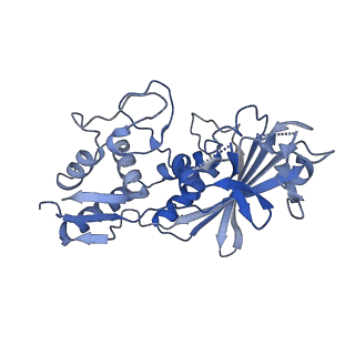 21516_6w1x_C_v1-1
Cryo-EM structure of anti-CRISPR AcrIF9, bound to the type I-F crRNA-guided CRISPR surveillance complex