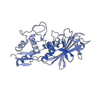 21516_6w1x_C_v1-2
Cryo-EM structure of anti-CRISPR AcrIF9, bound to the type I-F crRNA-guided CRISPR surveillance complex