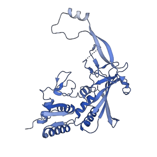 21516_6w1x_D_v1-1
Cryo-EM structure of anti-CRISPR AcrIF9, bound to the type I-F crRNA-guided CRISPR surveillance complex