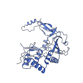 21516_6w1x_E_v1-1
Cryo-EM structure of anti-CRISPR AcrIF9, bound to the type I-F crRNA-guided CRISPR surveillance complex