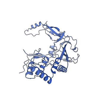 21516_6w1x_E_v1-2
Cryo-EM structure of anti-CRISPR AcrIF9, bound to the type I-F crRNA-guided CRISPR surveillance complex