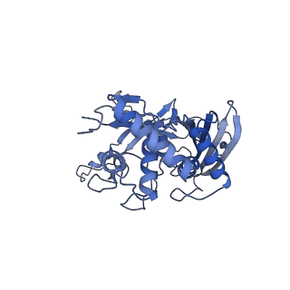 21516_6w1x_F_v1-1
Cryo-EM structure of anti-CRISPR AcrIF9, bound to the type I-F crRNA-guided CRISPR surveillance complex