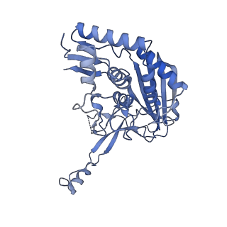 21516_6w1x_G_v1-1
Cryo-EM structure of anti-CRISPR AcrIF9, bound to the type I-F crRNA-guided CRISPR surveillance complex