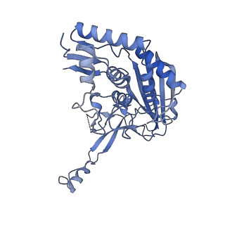 21516_6w1x_G_v1-2
Cryo-EM structure of anti-CRISPR AcrIF9, bound to the type I-F crRNA-guided CRISPR surveillance complex