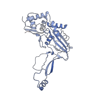 21516_6w1x_H_v1-1
Cryo-EM structure of anti-CRISPR AcrIF9, bound to the type I-F crRNA-guided CRISPR surveillance complex