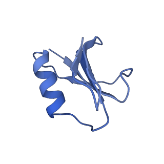 21516_6w1x_I_v1-1
Cryo-EM structure of anti-CRISPR AcrIF9, bound to the type I-F crRNA-guided CRISPR surveillance complex