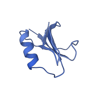 21516_6w1x_I_v1-2
Cryo-EM structure of anti-CRISPR AcrIF9, bound to the type I-F crRNA-guided CRISPR surveillance complex