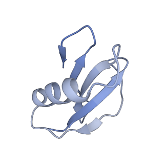 21516_6w1x_J_v1-1
Cryo-EM structure of anti-CRISPR AcrIF9, bound to the type I-F crRNA-guided CRISPR surveillance complex