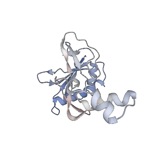 21516_6w1x_L_v1-1
Cryo-EM structure of anti-CRISPR AcrIF9, bound to the type I-F crRNA-guided CRISPR surveillance complex