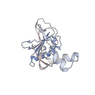 21516_6w1x_L_v1-2
Cryo-EM structure of anti-CRISPR AcrIF9, bound to the type I-F crRNA-guided CRISPR surveillance complex