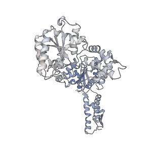 21519_6w1z_F_v1-3
ClpAP Engaged1 State bound to RepA-GFP