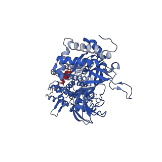 32258_7w1y_2_v1-0
Human MCM double hexamer bound to natural DNA duplex (polyAT/polyTA)