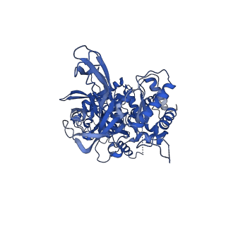 32258_7w1y_4_v1-0
Human MCM double hexamer bound to natural DNA duplex (polyAT/polyTA)